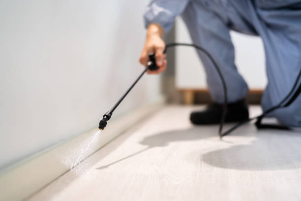 Licensed Ant Control service in Manchester, IA - Nex Pest Control