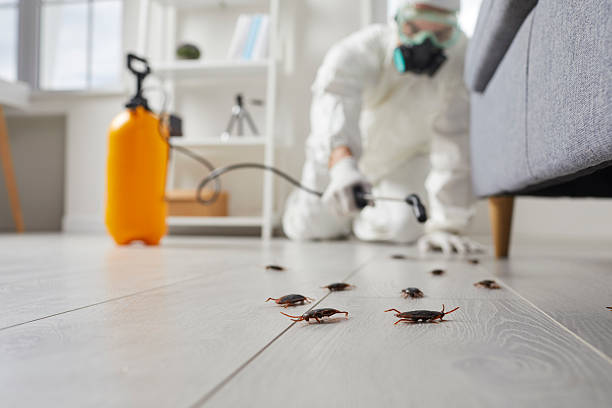 Trusted Rodent Control service in Manchester, IA - Nex Pest Control